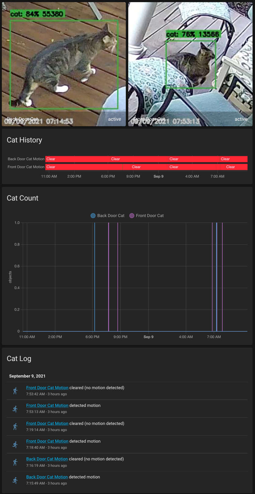 Lovelace CatCam page